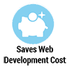 Save web development cost